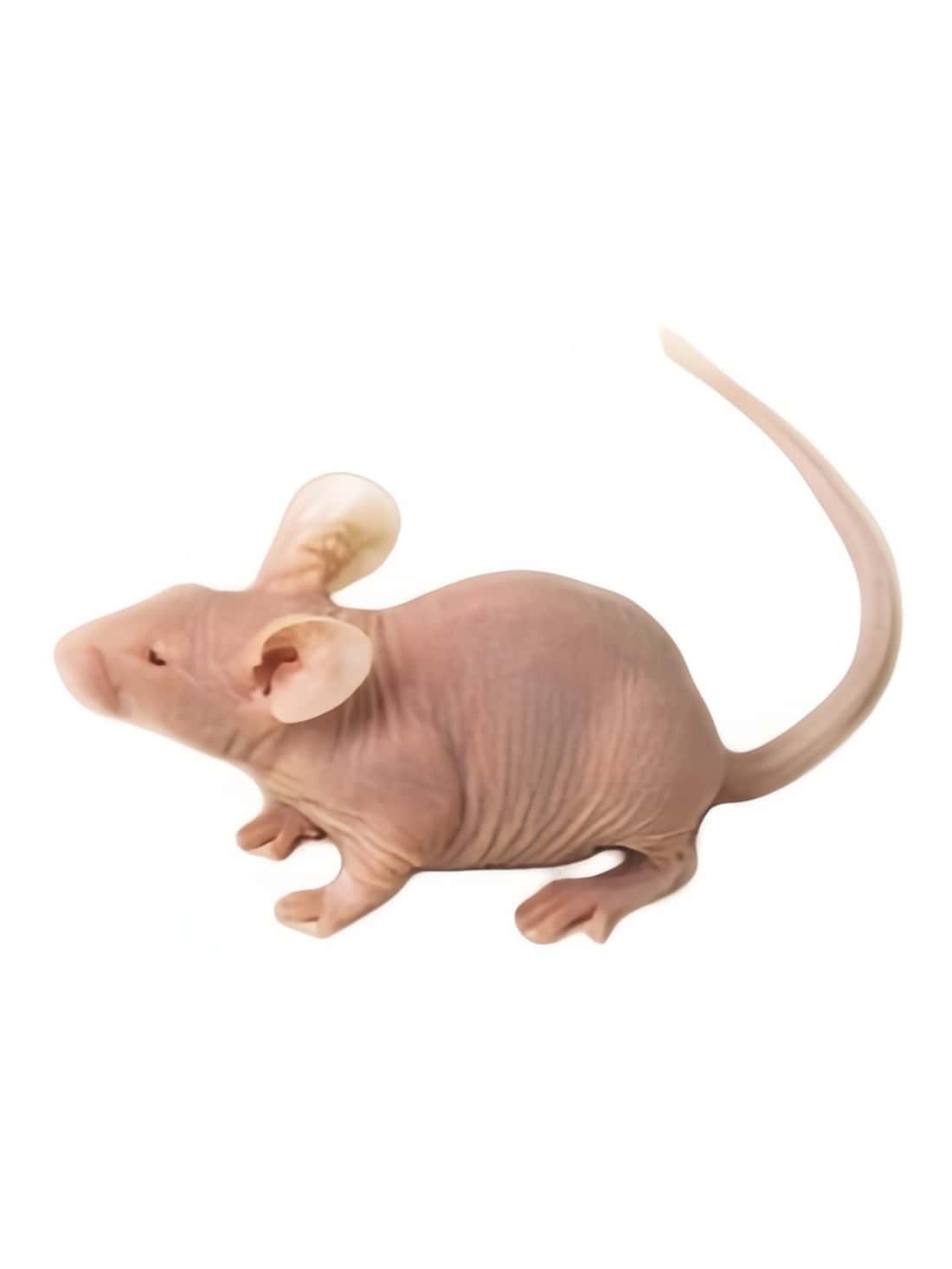 12 34